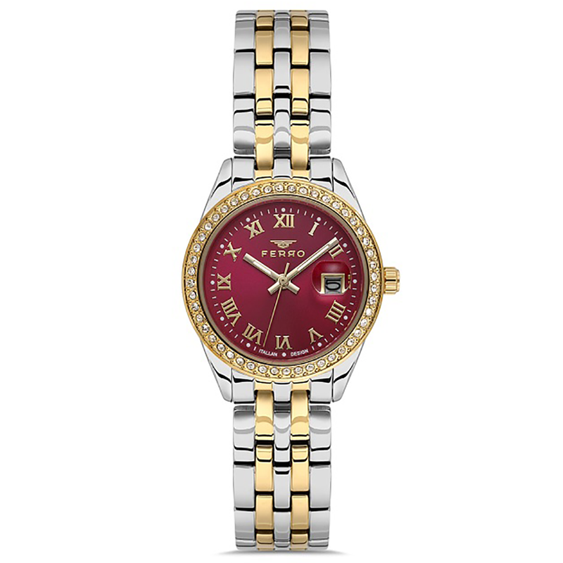 FERRO WATCH