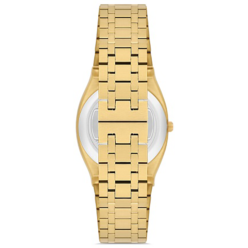 FERRO WATCH
