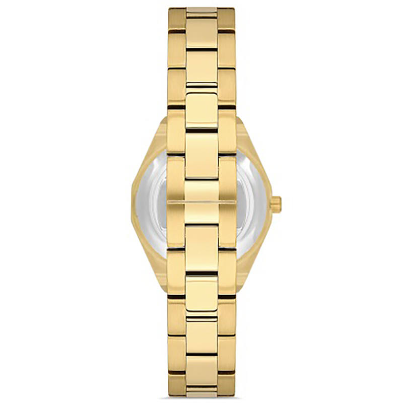 FERRO WATCH