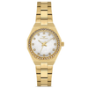 FERRO WATCH