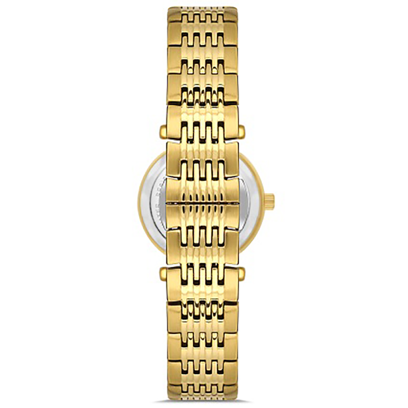 FERRO WATCH