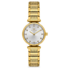 FERRO WATCH