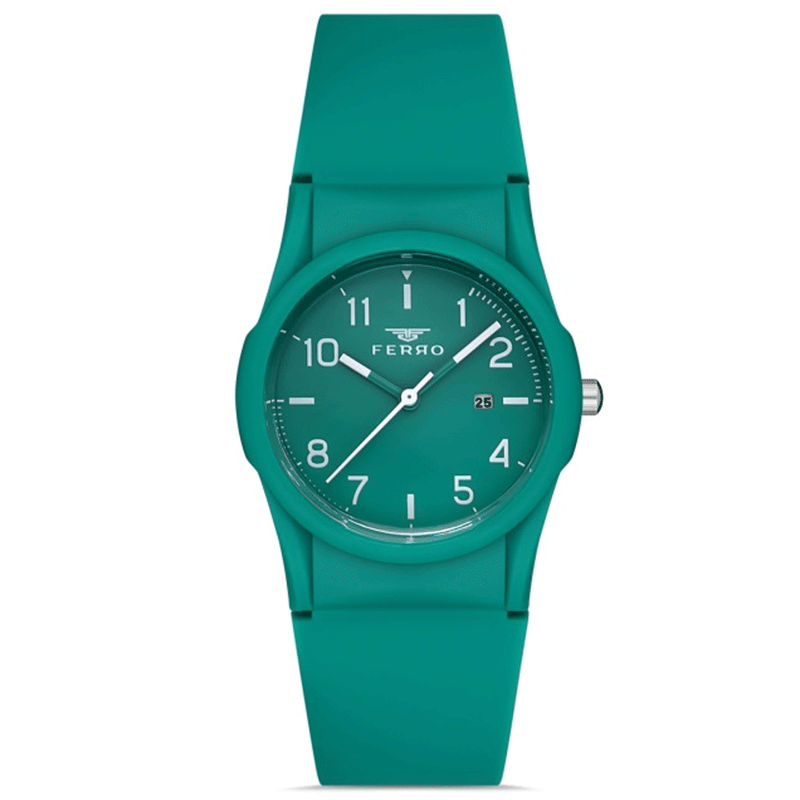 FERRO WATCH