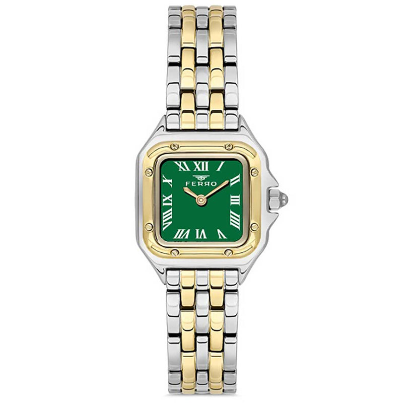 FERRO WATCH