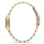 FERRO WATCH
