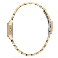 FERRO WATCH