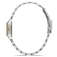 FERRO WATCH