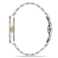 FERRO WATCH