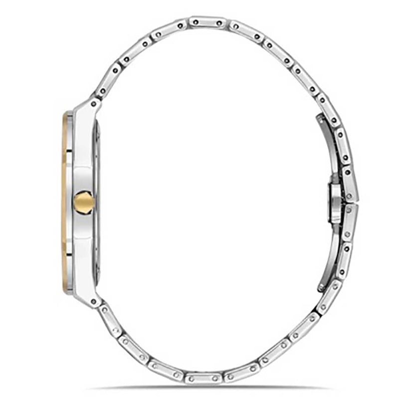 FERRO WATCH